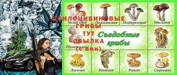 mix Армянск
